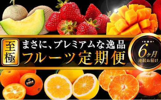 《2026年発送先行予約》【数量・期間限定】贈答用にもオススメ!バイヤー厳選!「至極フルーツ定期便」(全6回)_M153-T013