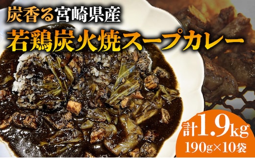 炭香る宮崎県産若鶏炭火焼スープカレー 計1.9kg_M210-009