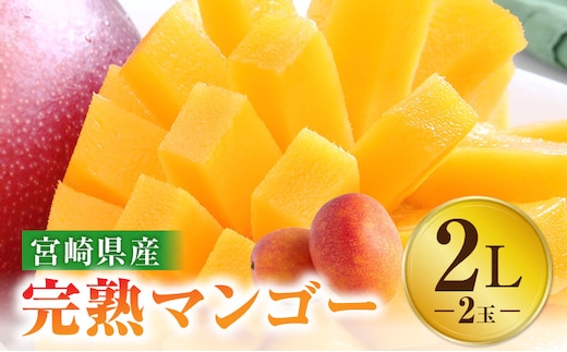 《2026年発送先行予約》【数量・期間限定】宮崎特産品 宮崎県産完熟マンゴー 2L×2玉_M275-001