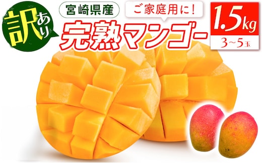 《2026年発送先行予約》【数量・期間限定】宮崎特産品「訳あり」宮崎県産完熟マンゴー 1.5kg(3玉～5玉)_M275-005