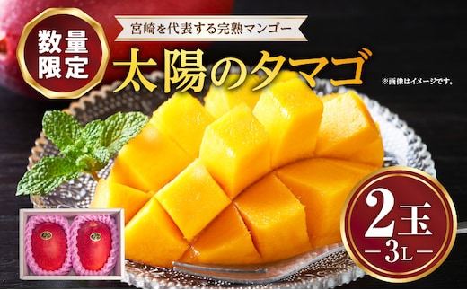 《2026年発送先行予約》【数量・期間限定】宮崎特産品 宮崎県産完熟マンゴー 太陽のタマゴ 3L×2玉_M275-012