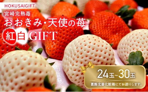 《2026年発送》【数量・期間限定】HOKUSAIGIFT宮崎完熟苺おおきみ・天使の苺紅白_M279-001