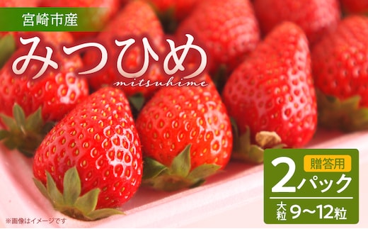 《2026年発送》【数量・期間限定】【贈答用】宮崎市産いちご みつひめ 2パック_M209-001