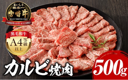 宮崎牛 カルビ焼肉 500g_M243-004