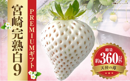 《2026年発送》【数量・期間限定】宮崎完熟白9PREMIUMギフト_M279-007
