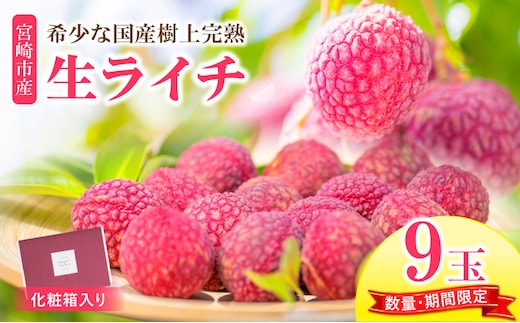 《2026年発送 先行予約》【数量・期間限定】宮崎市産生ライチ 9玉(1玉40g以上)_M215-003-01