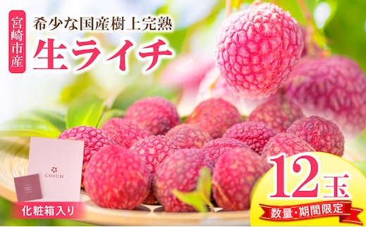 《2026年発送 先行予約》【数量・期間限定】宮崎市産生ライチ 12玉(1玉50g以上)_M215-003-02