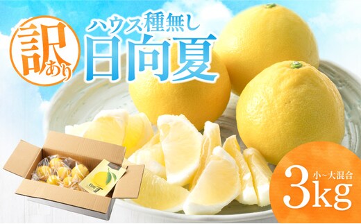 《2026年発送先行予約》【数量・期間限定】【訳あり】ハウス種無し日向夏 小～大混合3kg_M347-001