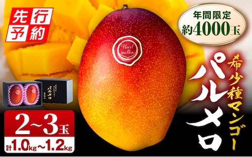 《2026年発送先行予約》【期間・数量限定】宮崎県産 希少種マンゴー パルメロ 計 約1.0kg～1.2kg 2～3玉入り_M223-001