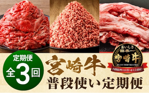 宮崎牛 普段使い定期便 全3回_M243-T002