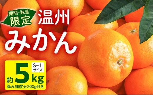《2025年～2026年発送》【数量・期間限定】温州みかん5kg(傷み補償分200g付き)_M249-001-01