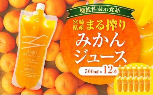 宮崎県産 まる搾りみかんジュース 500ml×12本_M249-009-02