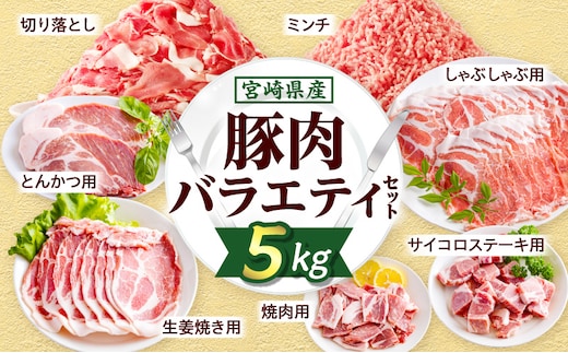 宮崎県産豚肉バラエティセット5kg_M277-006