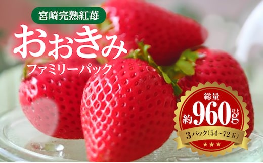 《2026年発送》【数量・期間限定】宮崎完熟紅苺「おおきみ」ファミリーパック_M279-006