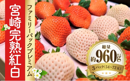 《2026年発送》【数量・期間限定】宮崎完熟紅白ファミリーパックプレミアム_M279-008