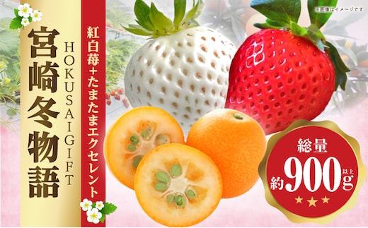 《2026年発送》【数量・期間限定】宮崎冬物語HOKUSAIGIFT紅白苺＋たまたまエクセレント_M279-009