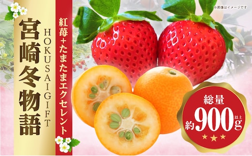《2026年発送》【数量・期間限定】宮崎冬物語HOKUSAIGIFT紅苺・たまたま_M279-010