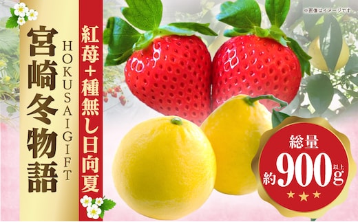 《2026年発送》【数量・期間限定】宮崎冬物語HOKUSAIGIFT紅苺＋種無し日向夏_M279-011