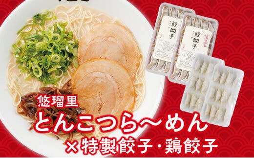 悠瑠里とんこつら～めん4食セット×悠瑠里特製餃子2P×鶏餃子2P_M293-011