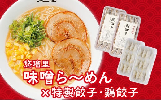 悠瑠里味噌ら～めん4食セット×悠瑠里特製餃子2P×鶏餃子2P_M293-018