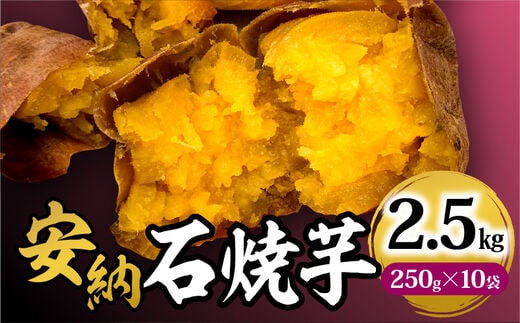 安納石焼芋 10袋セット_M295-001