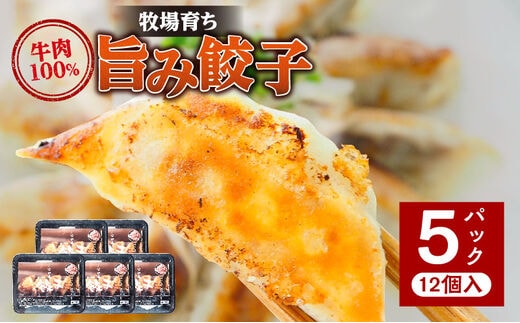 牧場育ち 牛肉100％旨み餃子（餃子12個パック×5）_M297-001
