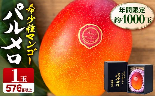 《2026年発送先行予約》【期間・数量限定】宮崎県産希少種マンゴーパルメロ 計576g以上 1玉入り_M223-003