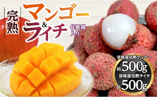 《2026年発送先行予約》【数量・期間限定】宮崎マンゴー4L×1・宮崎ライチ12玉_M279-004