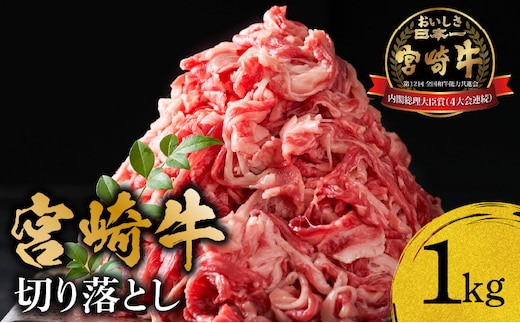 宮崎牛 切り落とし1kg_M299-007