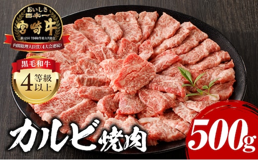宮崎牛 カルビ焼肉 500g_M243-004