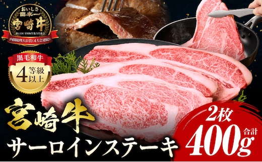 宮崎牛 サーロインステーキ 2枚 合計400g_M243-006