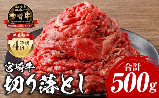 宮崎牛 切り落とし 500g_M243-018_02