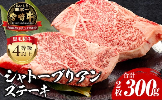 宮崎牛シャトーブリアンステーキ 2枚 合計300ｇ_M243-028