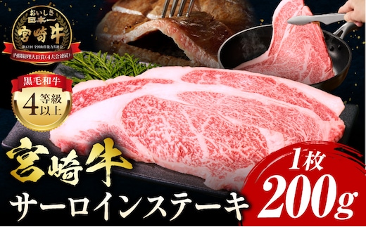 宮崎牛 サーロインステーキ 1枚 合計200g_M243-036