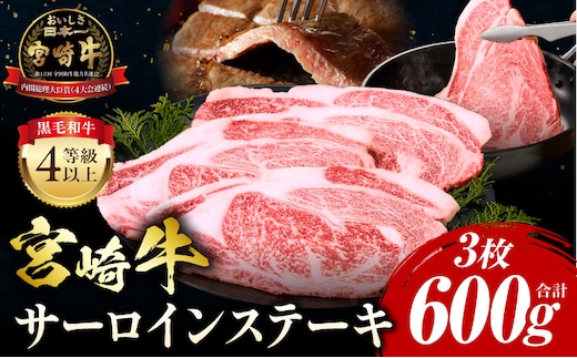 宮崎牛 サーロインステーキ 3枚 合計600g_M243-037