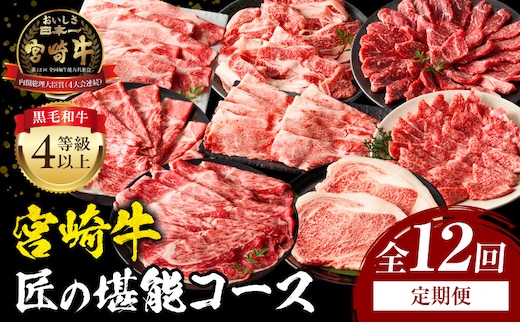 【定期便全12回】宮崎牛 匠の堪能コース_M243-T010