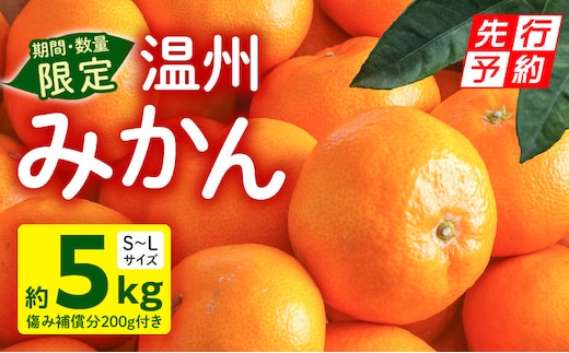 《2025年発送先行予約》【期間・数量限定】温州みかん5kg(傷み補償分200g付き)_M249-001-01