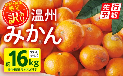 《2025年発送先行予約》【期間・数量限定】《訳あり》温州みかん16kg(傷み補償分200g付き)_M249-003-04