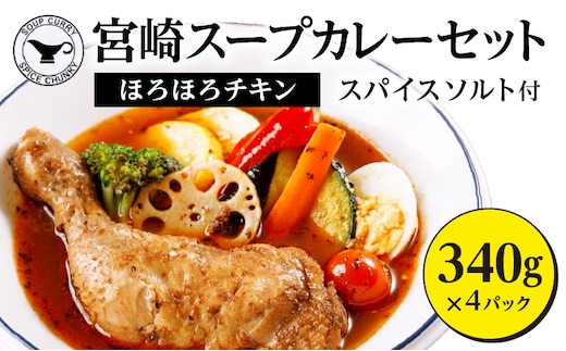 宮崎スープカレーセット(スープカレーほろほろチキン真空冷凍パック、スパイスソルト)_M310-001