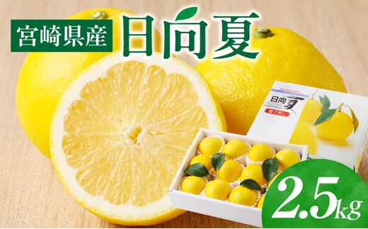 《2026年発送先行予約》【数量・期間限定】宮崎県産日向夏 2.5kg 化粧箱入り_M320-002