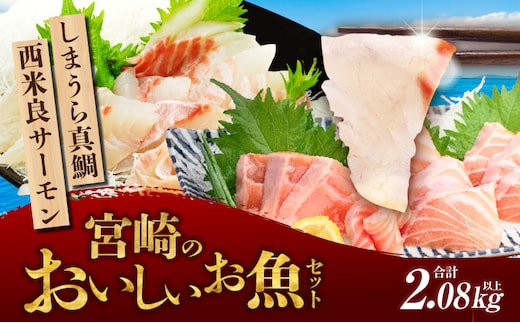 宮崎のおいしいお魚セット_M342-006