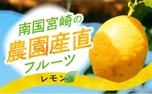《2026年9月～2027年2月発送先行予約》【数量・期間限定】南国宮崎の農園産直 レモン5kg_M342-010