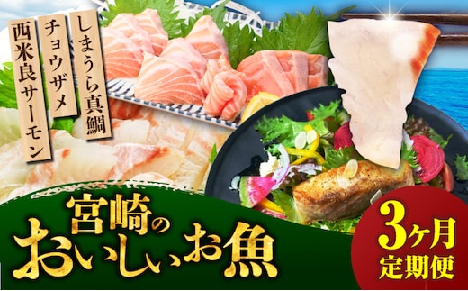 宮崎のおいしいお魚 3ヶ月定期便_M342-T007-3-1