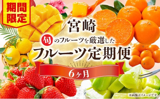 《2026年発送先行予約》【期間・数量限定】旬のフルーツ6ヶ月定期便vol.1_M348-T001
