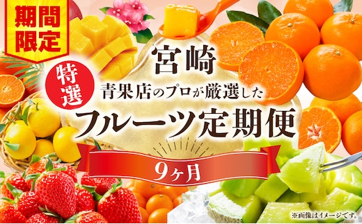 【期間・数量限定】特選！旬のフルーツ9ヶ月定期便vol.2_M348-T002