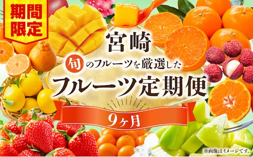 【期間・数量限定】旬のフルーツ9ヶ月定期便vol.1_M348-T008