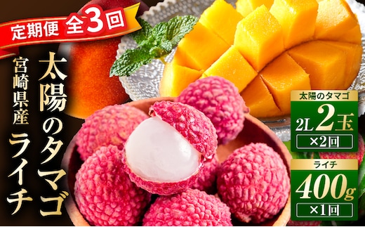 《2026年発送先行予約》【数量・期間限定】【全3回】太陽のタマゴ・ライチ定期便_M348-T011-3-1