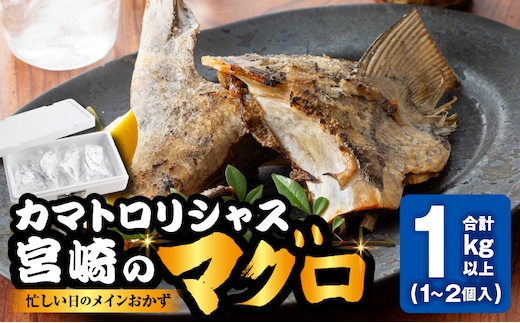 カマトロリシャス宮崎のマグロ_M352-003