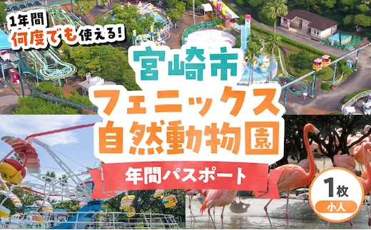 宮崎市フェニックス自然動物園年間パスポート（小人）_M353-004-01