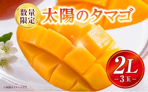 《2026年発送先行予約》【数量・期間限定】太陽のタマゴ 2Lサイズ 3玉_M354-001-01